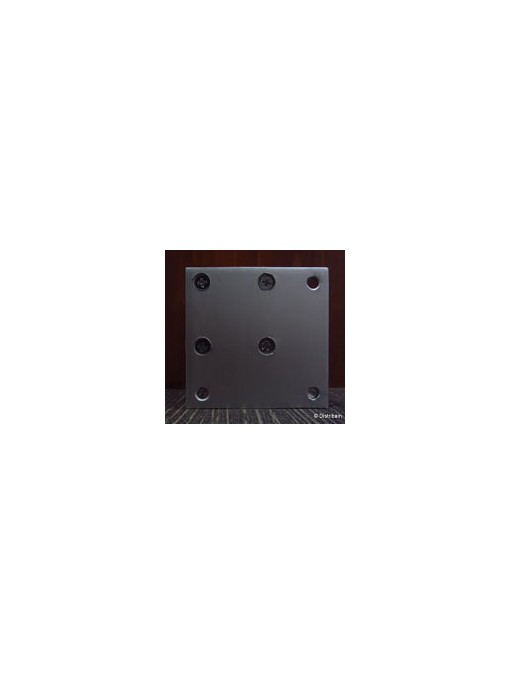 Plaque de fixation des pieds