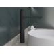Robinet mitigeur LOBELIA Black