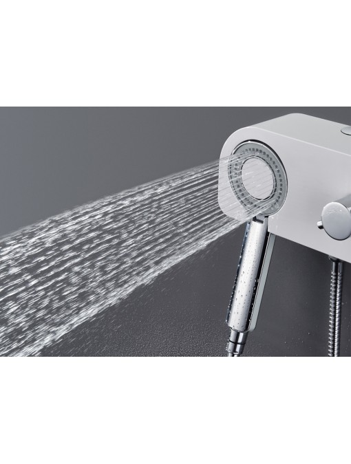Douchette multijets de la colonne de douche S300