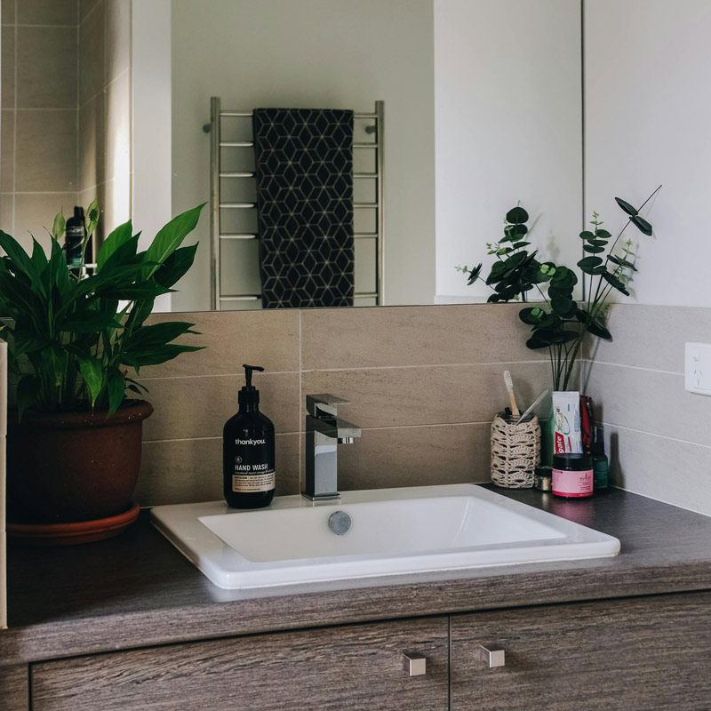 Plante salle de bain